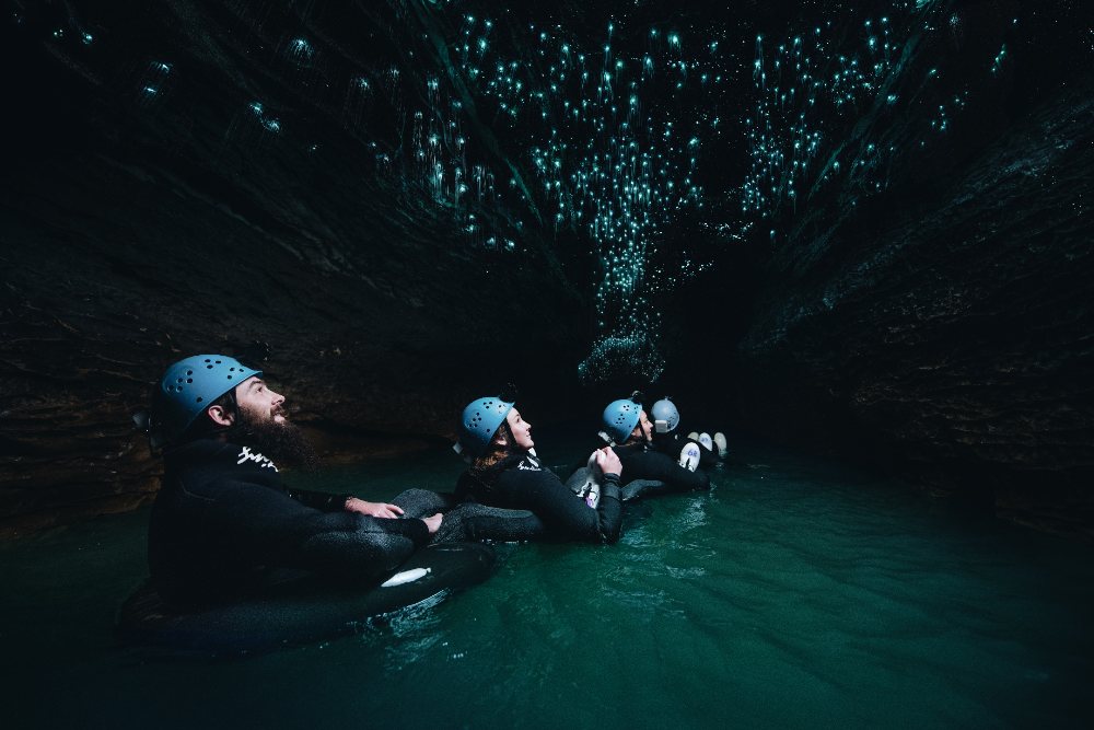 Glowworm caves, Waitomo