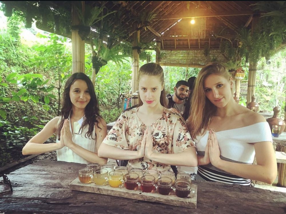 Tea tasting, Bali
