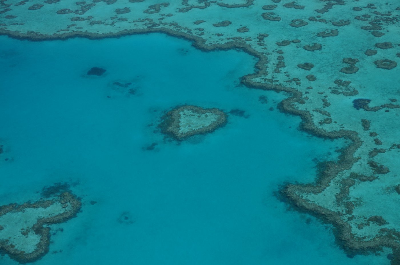 Heart Reef, Great Barrier Reef