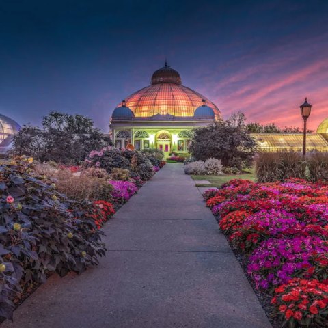 Adelaide