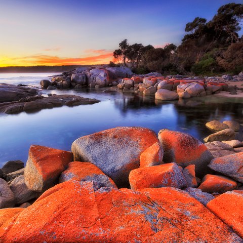 Tasmania